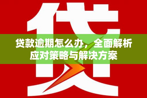 大社贷款逾期怎么办，全面解析应对策略与解决方案