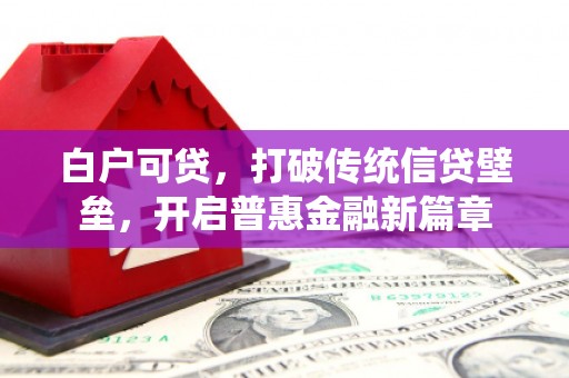大社白户可贷，打破传统信贷壁垒，开启普惠金融新篇章