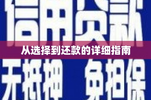 大社从选择到还款的详细指南
