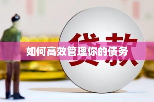 大社如何高效管理你的债务