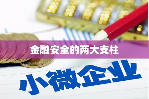 大社金融安全的两大支柱