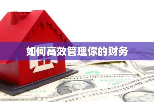 大社如何高效管理你的财务