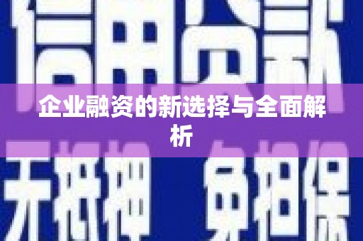 大社企业融资的新选择与全面解析