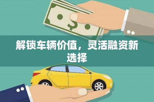 大社解锁车辆价值，灵活融资新选择