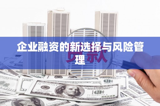 大社企业融资的新选择与风险管理
