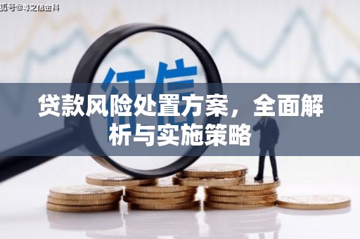 大社贷款风险处置方案，全面解析与实施策略