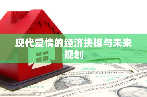 大社现代爱情的经济抉择与未来规划