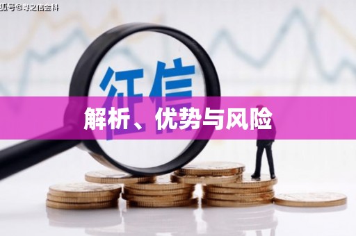 大社解析、优势与风险