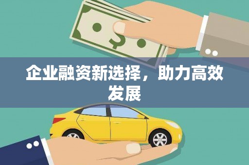 大社企业融资新选择，助力高效发展