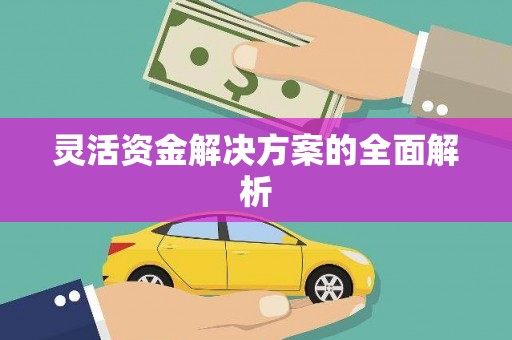 大社灵活资金解决方案的全面解析